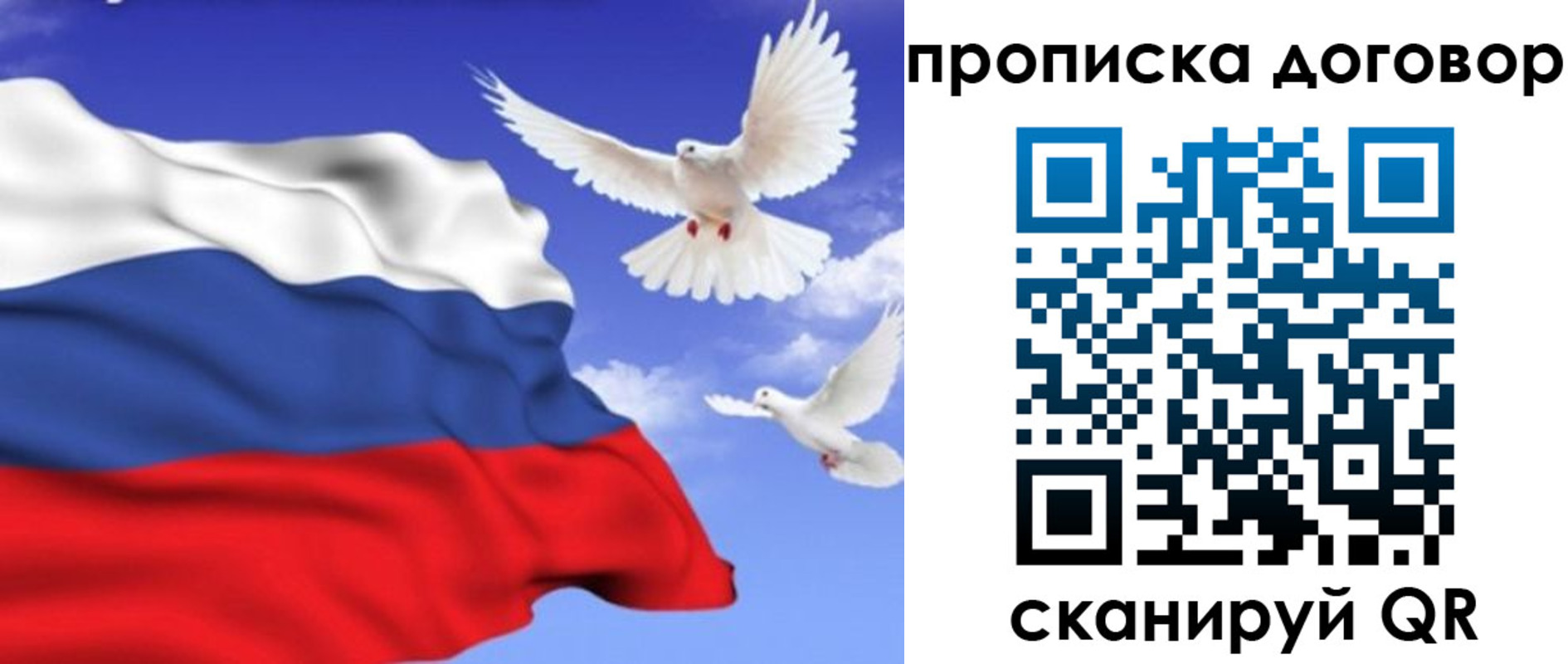 прописка поиск в Краснодаре